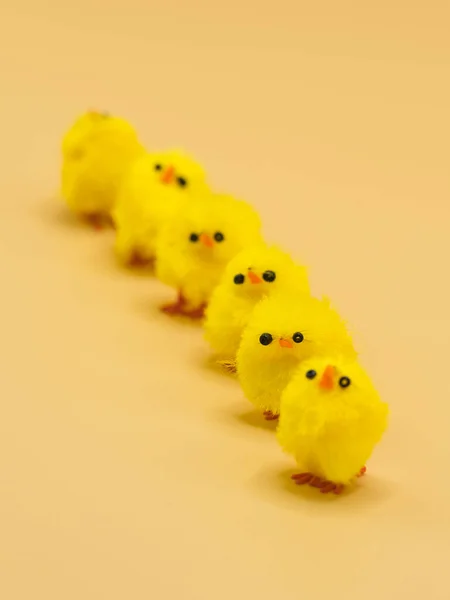 スタジオでイースターの装飾のために配置されたふわふわの黄色の鶏 人のいない完璧なマクロ写真の対象 — ストック写真