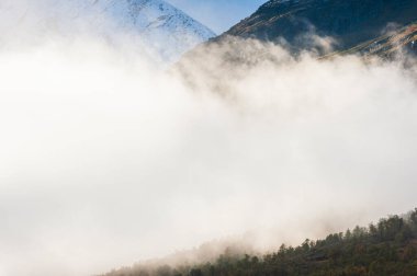 Norveç, bulutların üstündeki dağ manzarası