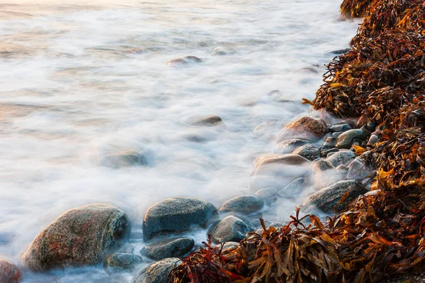 Волны Разбиваются Пляже Швеция — стоковое фото