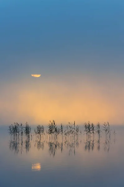 Aube Sur Lac Finlandais Molnlycke Suède Europe — Photo