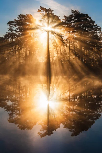 Oszałamiający Wschód Słońca Wśród Drzew Refleksji Nad Spokojnym Jeziorem — Zdjęcie stockowe