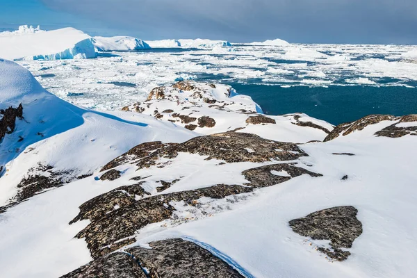 氷山の上に座っている海のカモメの鳥 — ストック写真