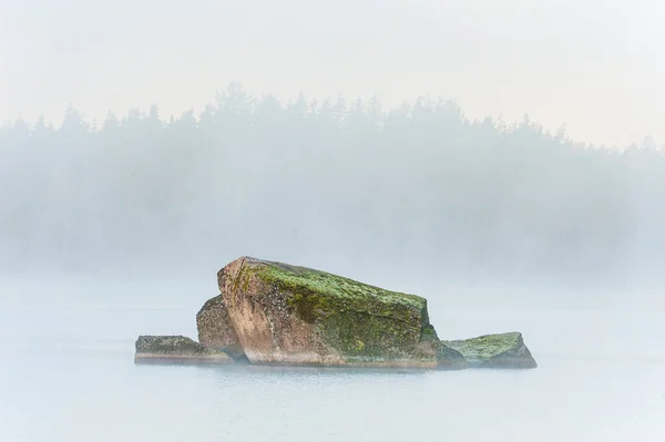 Туманное Утро Спокойного Озера Швеции Окружении Деревьев Скал Идиллический Опыт — стоковое фото