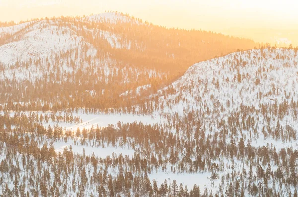 ノルウェーの静かな冬の風景 雪に覆われた木々 穏やかな夕日 — ストック写真