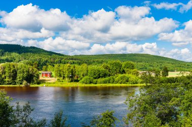 İsveç ormanlarındaki kırmızı evin sakin manzarası..