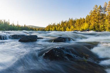 Sakin yaban hayatı: Norveç nehri ağaçlar, kayalar ve gökyüzüyle çevrili.