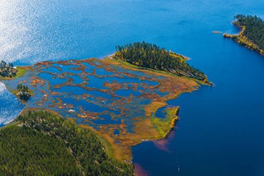 Bataklık, göl ve ağaçlar yukarıdan