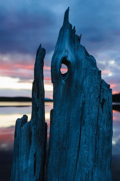 Дрейф Деревини Перед Озером Під Час Заходу Сонця — стокове фото