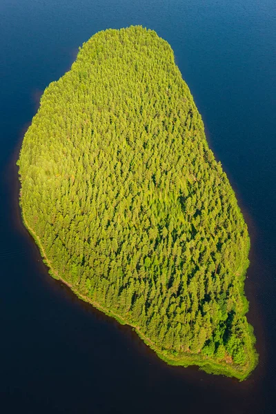 Letecký Pohled Zelený Ostrov Stromy — Stock fotografie