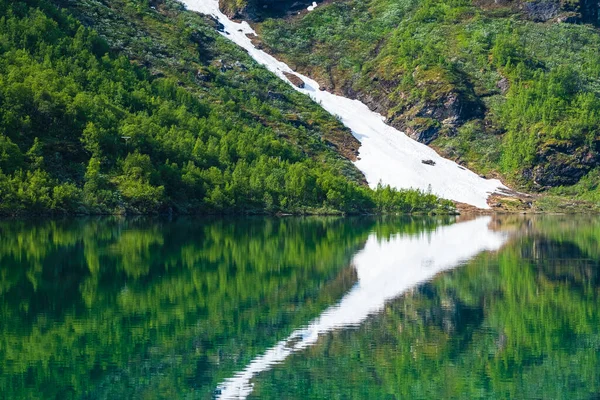 Orman Kar Tarlalarıyla Gölün Yansıması — Stok fotoğraf