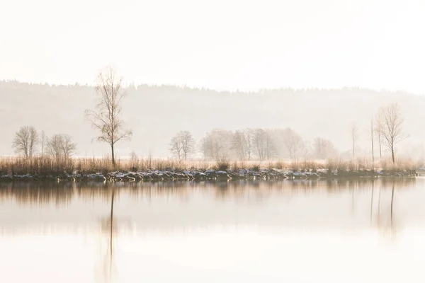 Winterbomen Aan Oever Van Rivier Gta Zweden Europa Rechtenvrije Stockfoto's