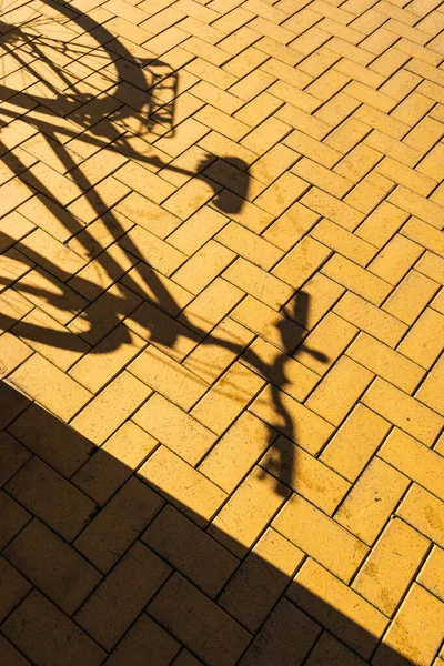 Vélos Garés Dans Rue Avec Des Ombres — Photo