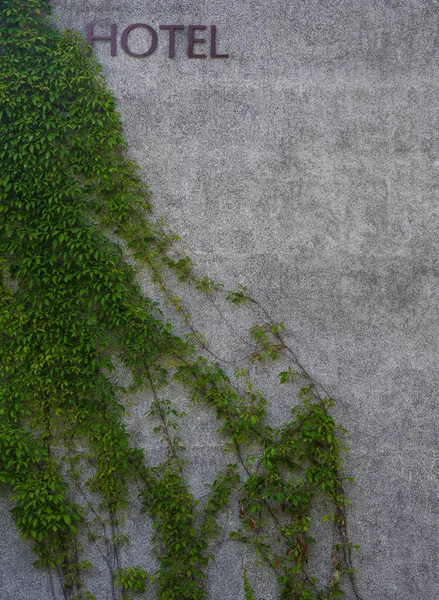 Fassade Eines Üppigen Hotelgebäudes Mit Grünen Pflanzen Blick Von Oben — Stockfoto