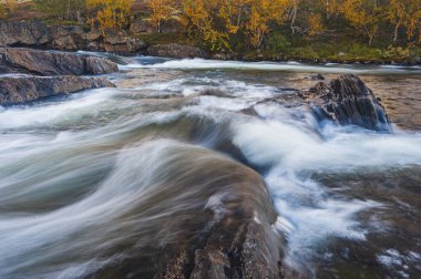 Hızla akan suyu ve manzarası olan sonbahar nehri..