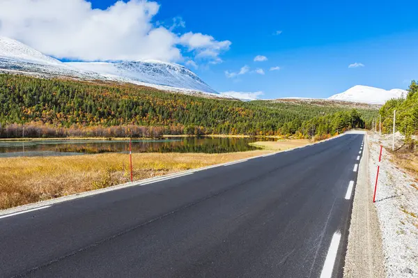Vibrant fall foliage lines straight road in Norwegian mountain landscape.