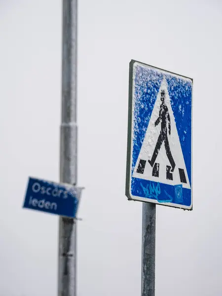A close-up photograph of a pedestrian crossing sign covered in snow, with a blurred white background indicative of heavy snowfall or foggy conditions. The sign stands clearly in the foreground with visible snowflakes.