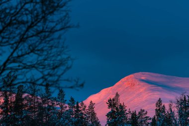 Arka planda karla kaplı bir dağ, ön planda sık ağaçlardan oluşan bir orman ile uzun boylu duruyor. Kış sahnesi, karlı manzaranın huzur dolu güzelliğini yakalar..