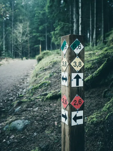 A wooden signpost with multiple arrows pointing in various directions, indicating different trails in the forest.