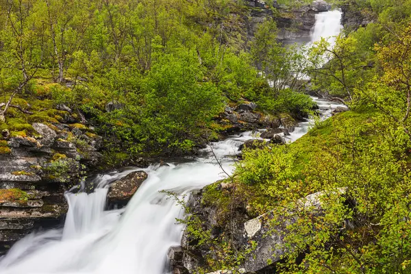 Stock image A breathtaking waterfall gracefully flows through a dense, verdant forest in Lappland, Sweden. The vibrant greenery thrives, creating a picturesque and serene landscape perfect for nature enthusiasts and hikers.