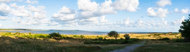 The coastal heath at Grimsholmen Nature Reserve features beautiful greenery, rolling grasslands, and a stunning view of the sea under a bright blue sky filled with fluffy clouds. clipart