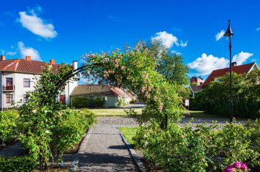 The garden in Falkenberg, Sweden, bursts with color on a sunny summer day, featuring lush greenery and blooming flowers under a clear blue sky. clipart