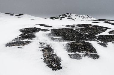 Geniş kar Grönland 'ın kayalık arazisini örtüyor, üzerinde ince gri bir gökyüzü var. Koyu kayaların beyaz kara karşı kontrastı sakin bir kış manzarası yaratıyor..