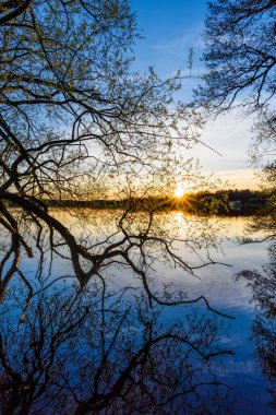 Altın güneş ışığı dalları yararak Atvidaberg 'deki dingin suları aydınlatarak güzel ve huzurlu bir atmosfer yaratıyor..