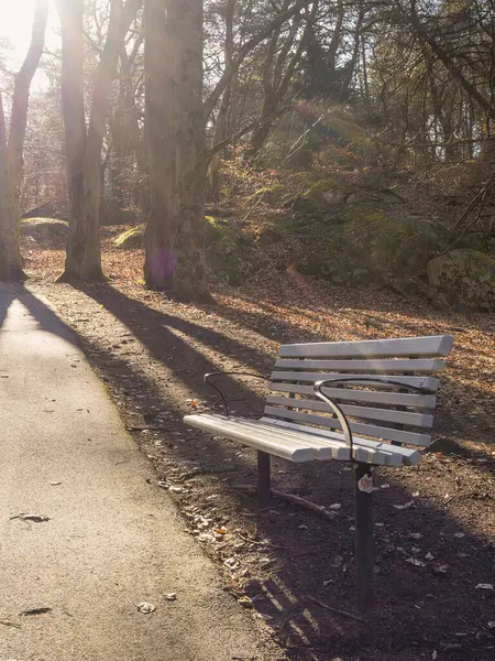 Baharda Göteborg 'da güneşli bir parkta tek kişilik bir bank dinlenir. Uzun ağaçlar yola gölge düşürür, sakin bir atmosfer yaratır rahatlama ve yansıma için mükemmeldir..