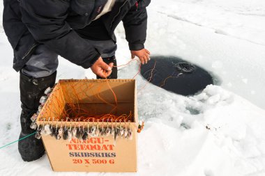 Balıkçı, Grönland 'da donmuş bir denizde yem ve olta ipleriyle dolu bir kutu kullanarak balık yakalamaya hazırlanıyor. Buz, etraftaki sert kış ortamını yansıtıyor..