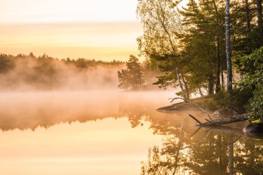 Sabahın erken saatlerinde, sakin suların gündoğumunun altın tonlarını yansıttığı ve ağaçların huzurlu manzarayı çerçevelediği Göteborg yakınlarındaki sisli bir göle ışık taşar. Doğa huzur içinde uyanır..