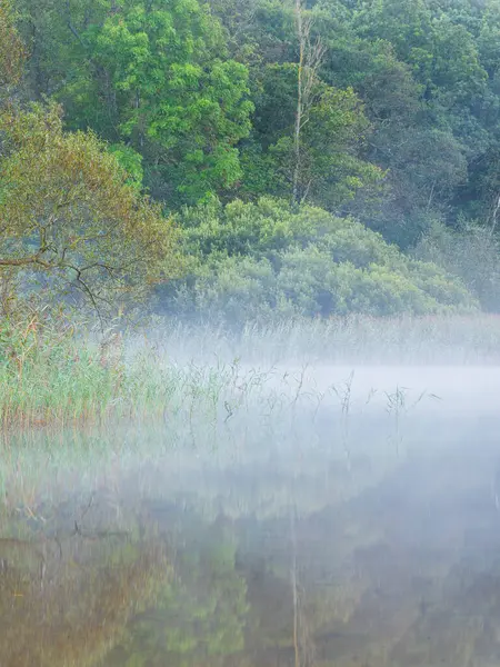 Sabahın erken saatlerinde İsveç 'in Molndal kenti yakınlarındaki bir gölün durgun sularını sisle kaplayarak ağaçların ve yeşilliklerin yansımaları ile sakin bir atmosfer yaratır..