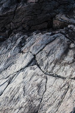Ziyaretçiler Halland 'daki Biskopshagens Doğa Rezervi' nin çarpıcı kaya dokusuna ve sahil güzelliğine hayran kaldılar. Huzurlu atmosfer, kıyı şeridi boyunca doğanın sanatını keşfetmeye davet ediyor..