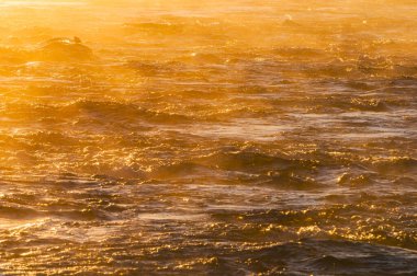 Soğuk Norveç nehrinde, kışın sisle çevrili bir taşın üzerinde yalnız bir kuş oturuyor. Soğuk hava, yılın bu zamanında doğanın güzelliğini ön plana çıkaran dingin, ruhani bir atmosfer yaratır..