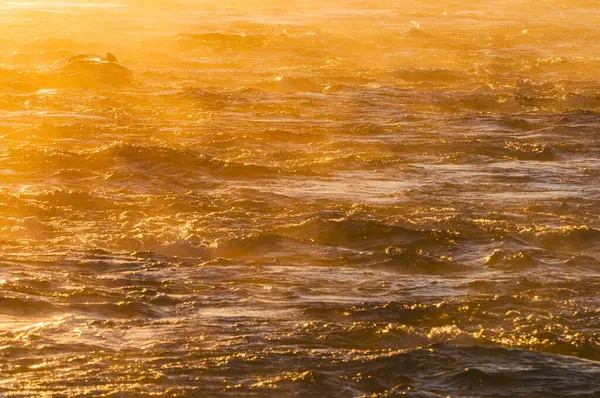 Soğuk Norveç nehrinde, kışın sisle çevrili bir taşın üzerinde yalnız bir kuş oturuyor. Soğuk hava, yılın bu zamanında doğanın güzelliğini ön plana çıkaran dingin, ruhani bir atmosfer yaratır..