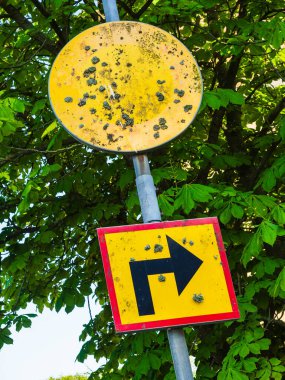 İsveç 'te eski, soluk bir yol işareti sağa dönüş talimatı verir. Sarı ve kırmızı renkleri, yeşil yaprakların yemyeşil zeminine karşı yaş ve çevre aşınmalarıyla körelmiştir..