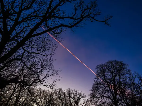 Gökyüzü alacakaranlıkta mor ve mavi renklere bürünür. Pembe bir iz ufuk boyunca gider. Siluetli ağaçlar çarpıcı bir ön plan oluşturarak sakin atmosferi güçlendirir..