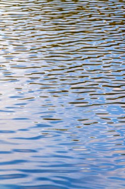 Suda, denizde, okyanusta, gölde tamamen sakinim. Sakin dalgalar göze çarpar, ışıldar. Manzara, arka planda bir sis bulutuyla uzaklaşıyor. Sabah, öğleden sonra ya da akşam. Güneşli hava.