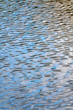 Suda, denizde, okyanusta, gölde tamamen sakinim. Sakin dalgalar göze çarpar, ışıldar. Manzara, arka planda bir sis bulutuyla uzaklaşıyor. Sabah, öğleden sonra ya da akşam. Güneşli hava.