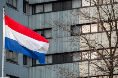 Hollanda bayrağı rüzgârda dalgalanıyor. Kırmızı, Beyaz ve Mavi. Ulusal gurur ve birlik. Hollanda 'daki vatanseverlik ruhu. Arka planda gökyüzü, su veya binalar.