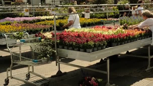 Centrum Ogrodu Ludzie Kupują Piękne Kwiaty Niemcy Kolonia Wysokiej Jakości — Wideo stockowe