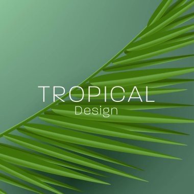 Tropical palm leaf detailed render illustration, realistic vector shape, summer time