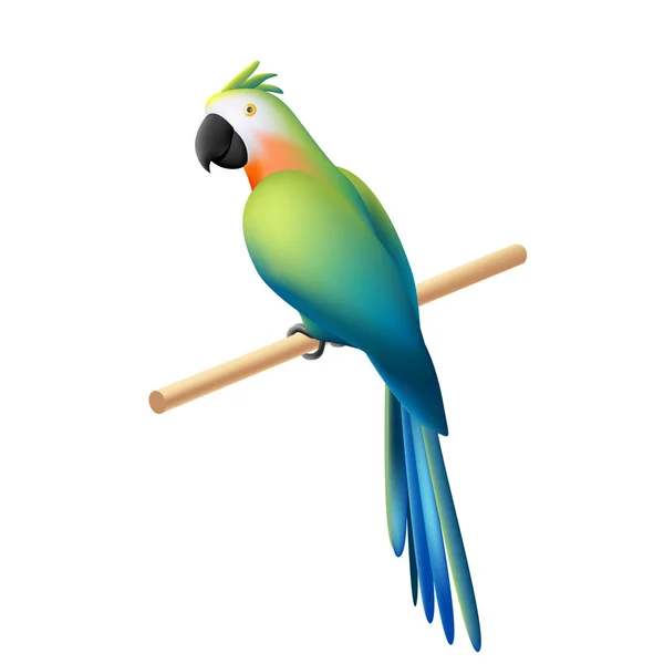 Papagaio Bonito Dos Desenhos Animados Sentado Uma Barra Ilustração Vetorial —  Vetores de Stock