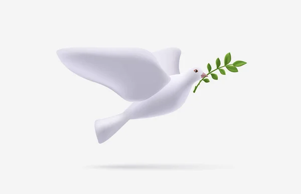 Illustration Von Isolierten Tauben Und Olivenzweigen Symbol Des Friedens Stilisierte — Stockvektor