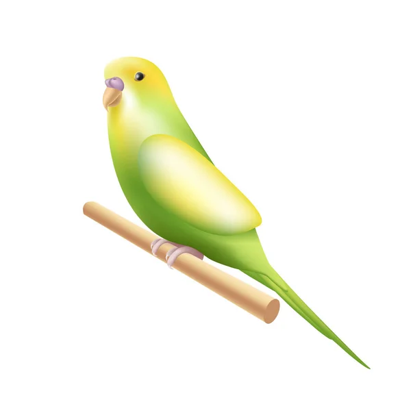 Budgerigar Budgie Parrot Icon Style Австралийский Символ Тропической Птицы Ветке — стоковый вектор