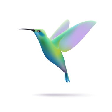 Uçan kolibri 3d illüstrasyon, yumuşak eğimli şekil, izole edilmiş kuş