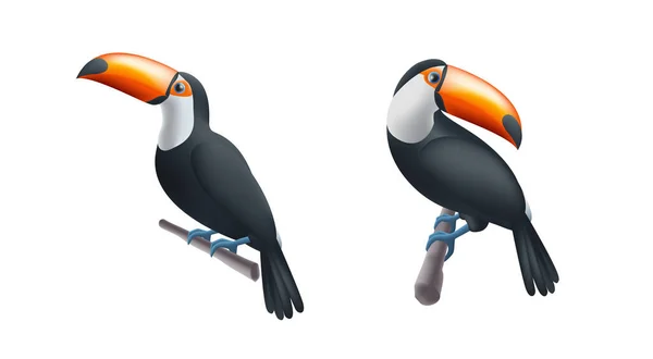 Tukan Auf Einem Ast Darstellung Illustration Isoliert Set Zwei Vögel — Stockvektor