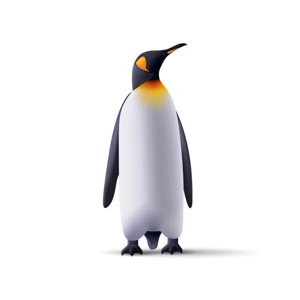 Pinguins Realistisk Illustration Arktisk Fauna Vilda Djur Isolerad Illustration Sikt — Stock vektor