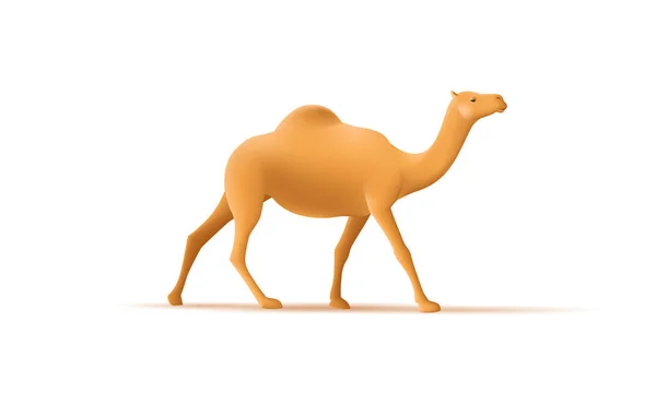 3D绘制了一只驼峰的骆驼的数字图像 它是一种行走的动物 与外界隔绝 — 图库矢量图片