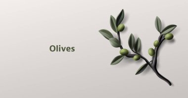 Yapraklı yeşil zeytin dalı, 3 boyutlu gerçekçi çizim, zeytinyağı