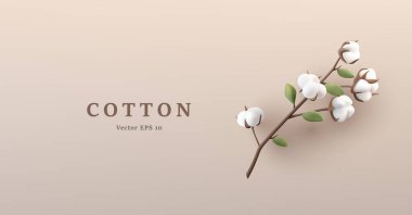 Beyaz yumuşak çiçekli pamuk dalı. Çiçek, çiçek ve yapraklarla betimlenmiş. EPS 10